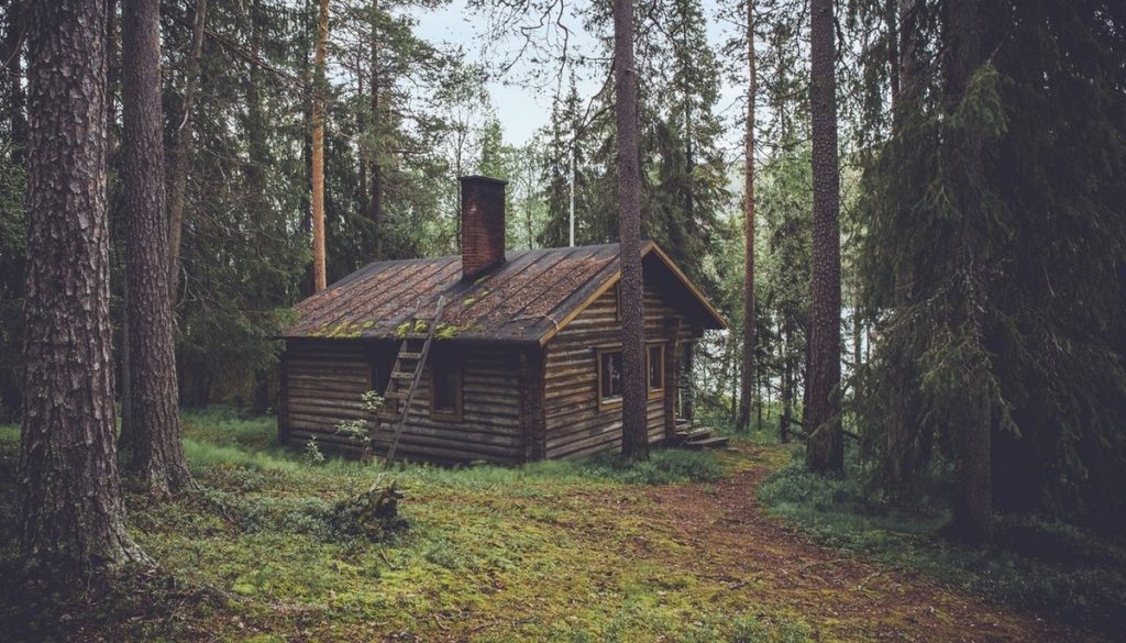 sjekkliste hytte - trær
