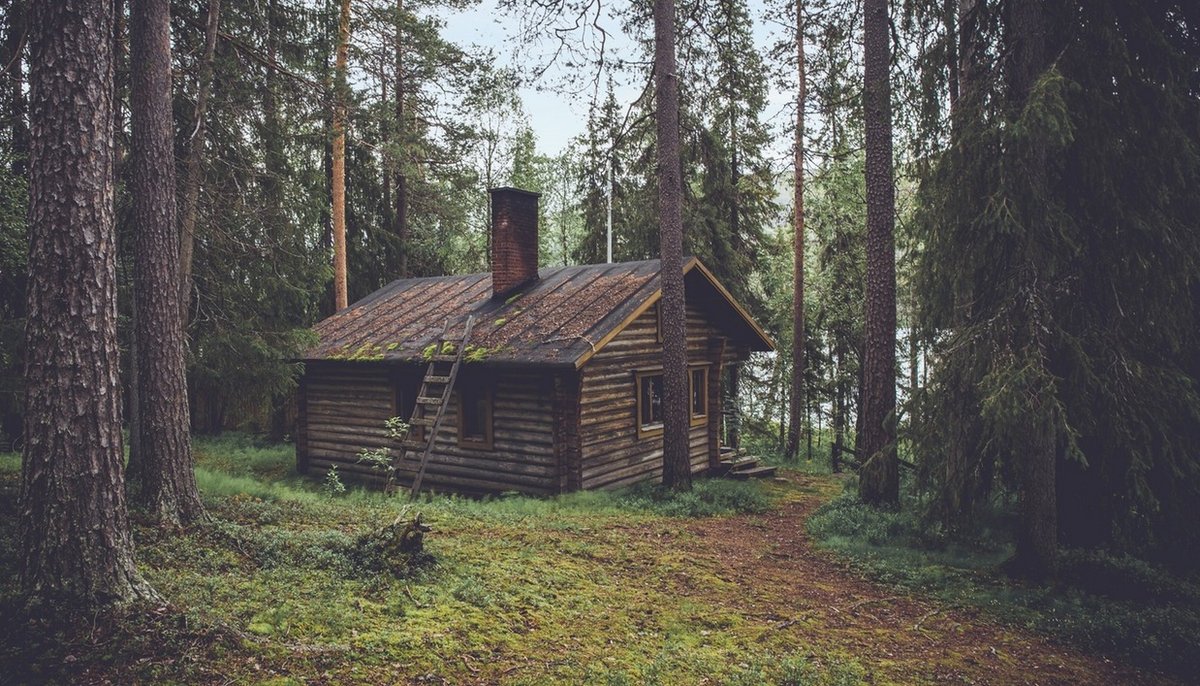 sjekkliste hytte - trær